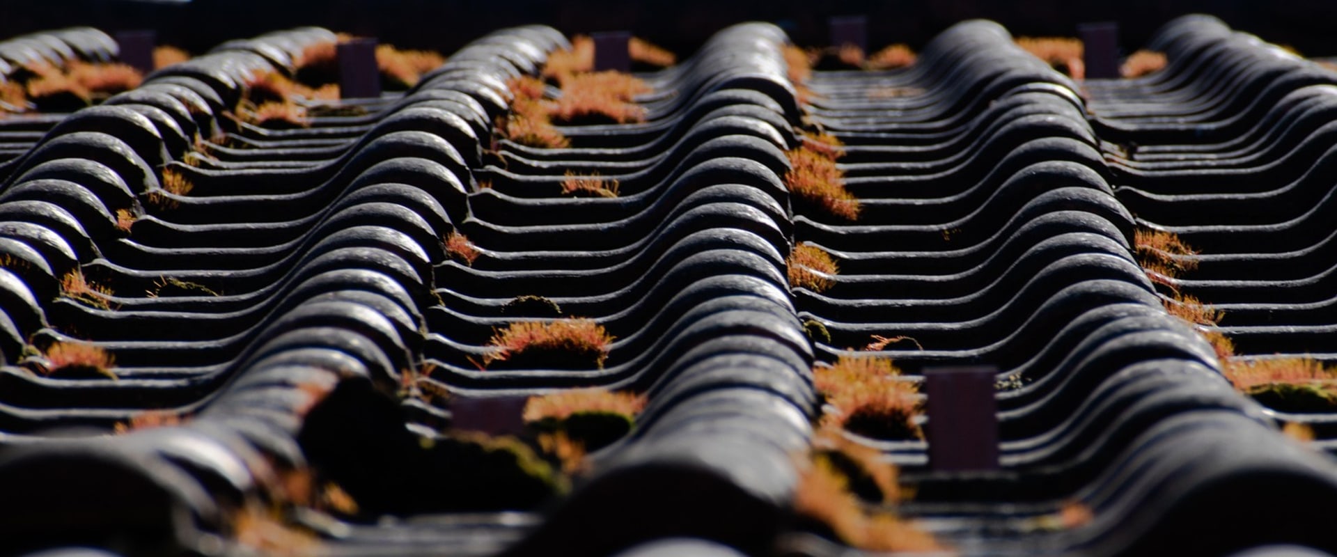 Enhance Home Value with Architectural Design & Roofing in Lumberton, TX