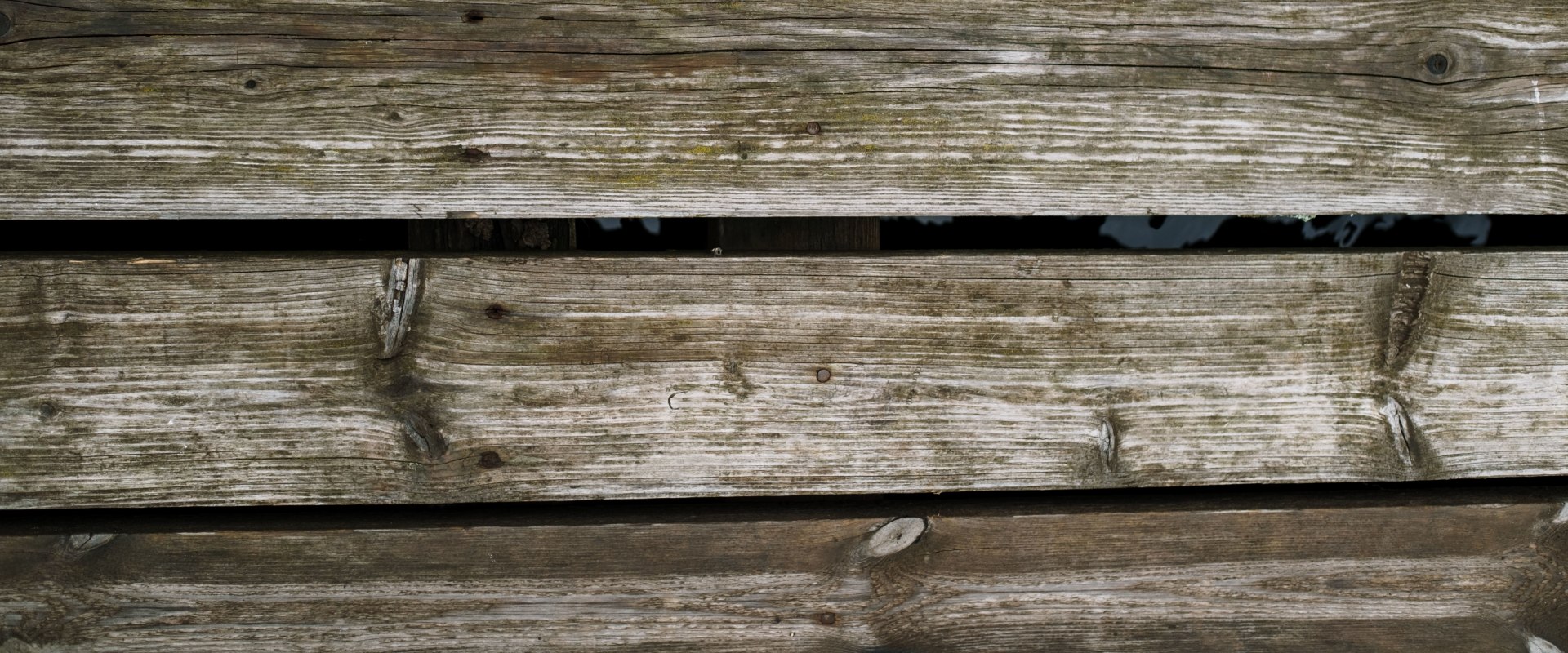 Enhance Your Home with Expert Wood Rot Repair in Tigard