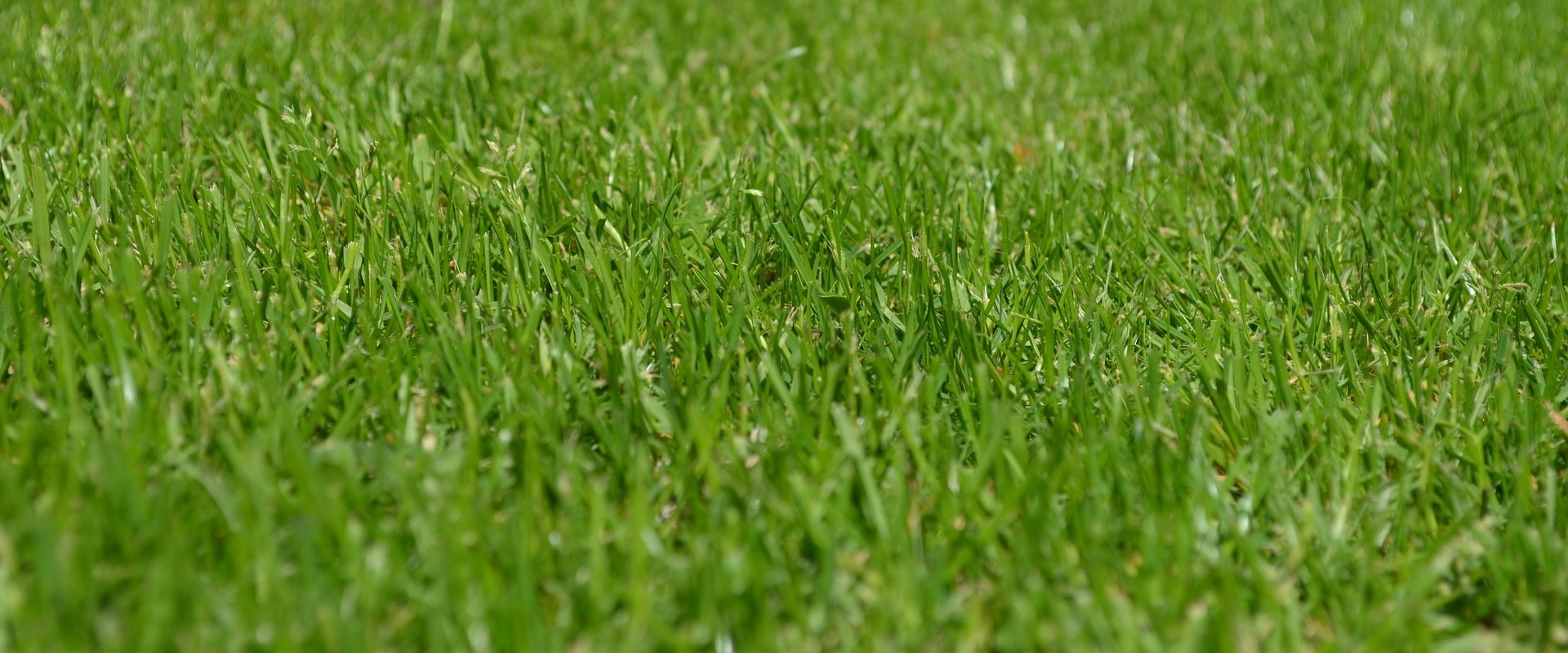 Enhance Your Property With Pro-Mow's Lawn And Architectural Design Services In Loudoun County