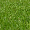 Enhance Your Property With Pro-Mow's Lawn And Architectural Design Services In Loudoun County