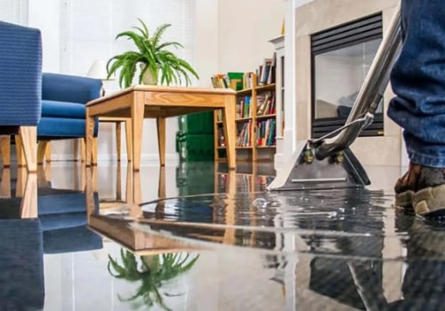 Protect Your Project: Address Water Damage Before Architectural Design